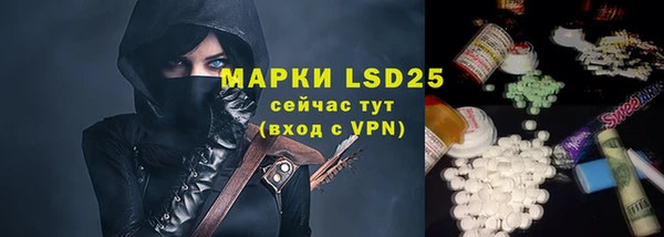 соль ск Гусев