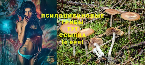 кокаин премиум Гусь-Хрустальный
