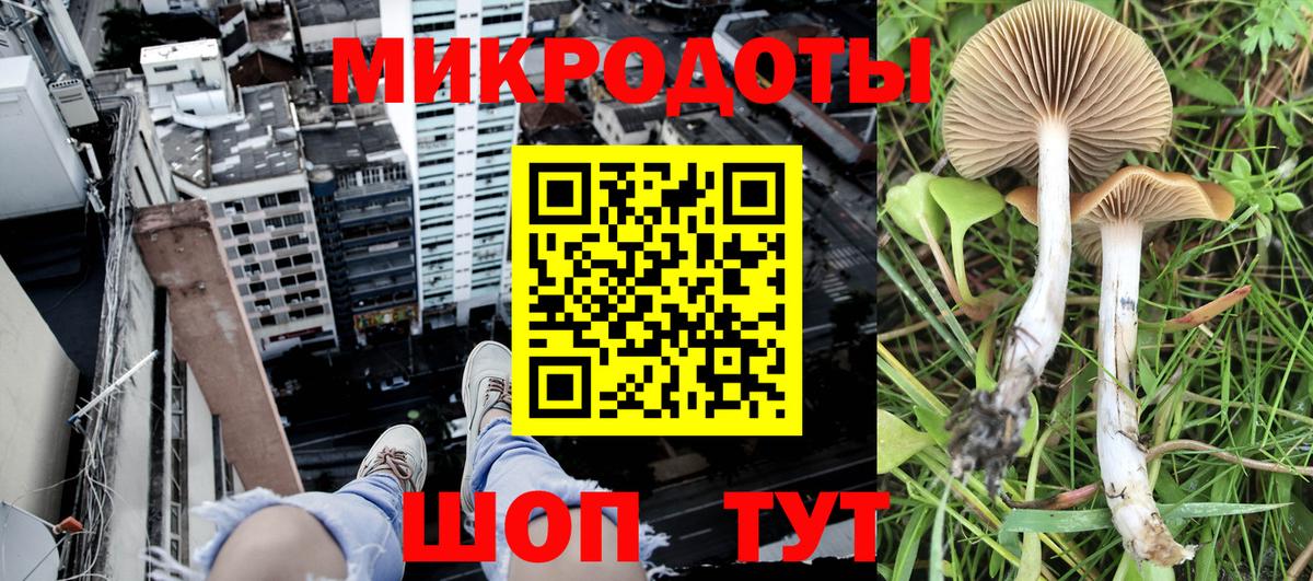 Тавда  Галлюциногенные грибы мухоморы  Галлюциногенные грибы мухоморы  Вход с VPN 