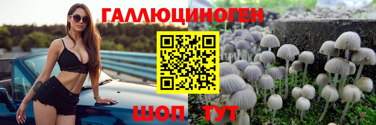 Псилоцибиновые грибы MAGIC MUSHROOMS Тавда