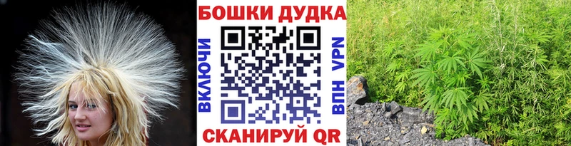 Марихуана планчик Тавда