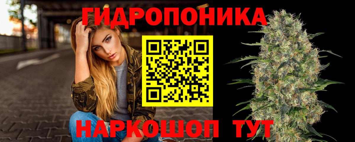 Канабис семена  Конопля LSD WEED  Каннабис гибрид  Тавда  Конопля OG Kush  Вход с VPN 